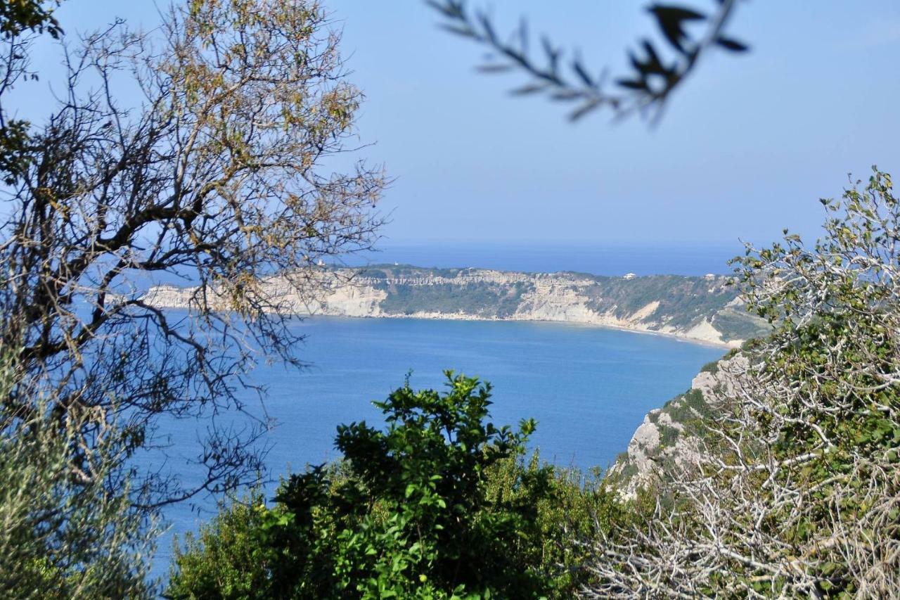 Villa Meli Afionas Corfu Afión Exterior foto